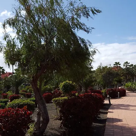 公寓 Oasis Royal 3 Piscinas *