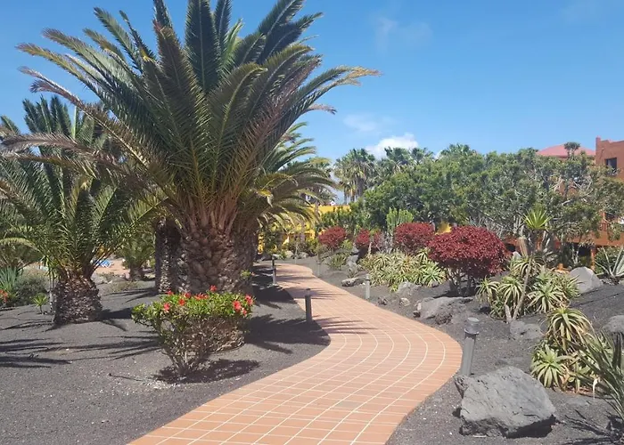 Oasis Royal 3 Piscinas 科拉雷侯