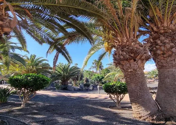 Oasis Royal 3 Piscinas * コラレホ