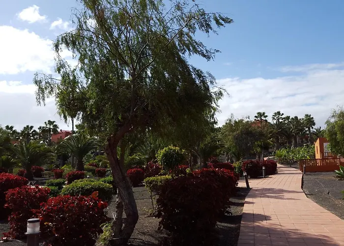Lägenhet Oasis Royal 3 Piscinas *