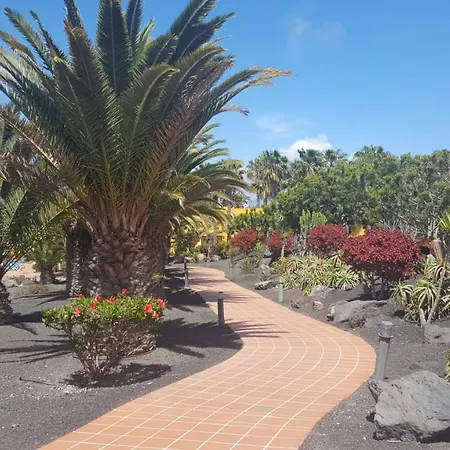 Oasis Royal 3 Piscinas 코라레호