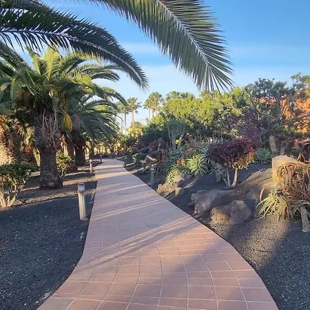 Oasis Royal 3 Piscinas Corralejo
