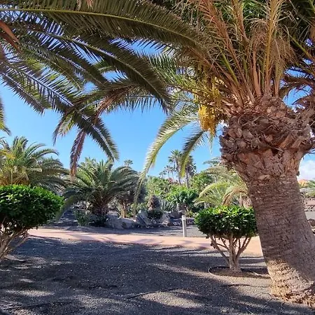 Oasis Royal 3 Piscinas * 코라레호