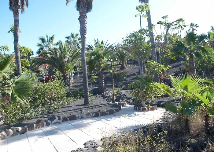 Oasis Royal 3 Piscinas 科拉雷侯