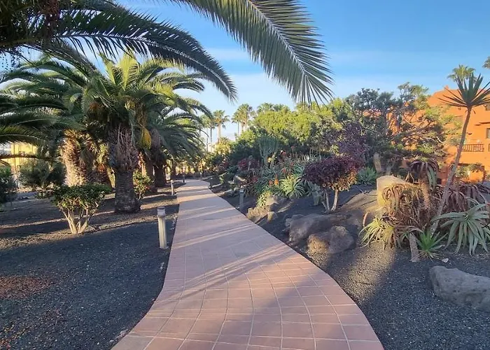 Oasis Royal 3 Piscinas 科拉雷侯